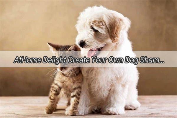 AtHome Delight Create Your Own Dog Shampoo in Simple Steps